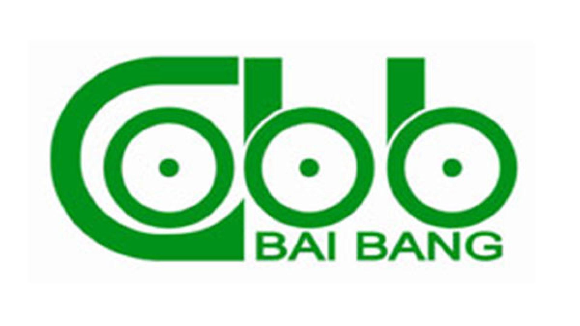 Logo công ty giấy Bãi Bằng