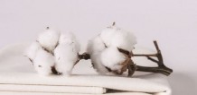 Chất vải cotton có mát không?